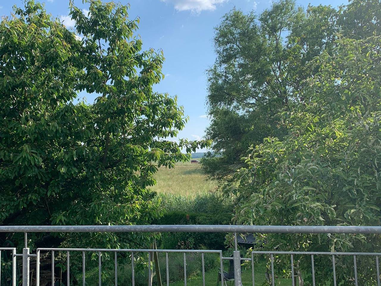 Ganze Ferienwohnung, Ferienwohnung Blick ins Grüne in Ober-Ramstadt, Südhessen