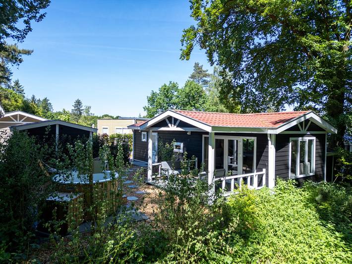 Vakantiepark voor 4 personen in Rhenen