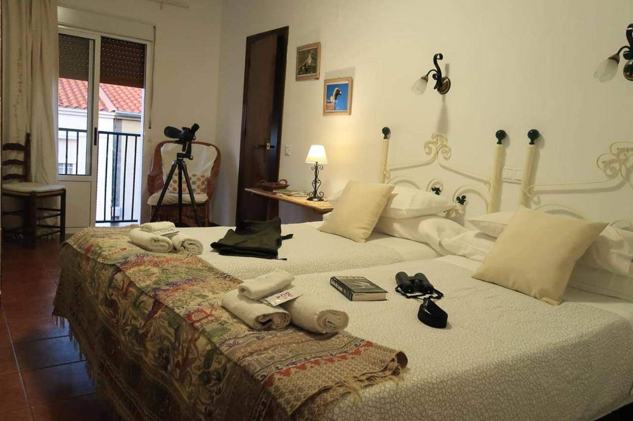 Apartamento entero, Habitaciones y casa rural monfrague in Torrejón el Rubio, Parque Nacional de Monfragüe
