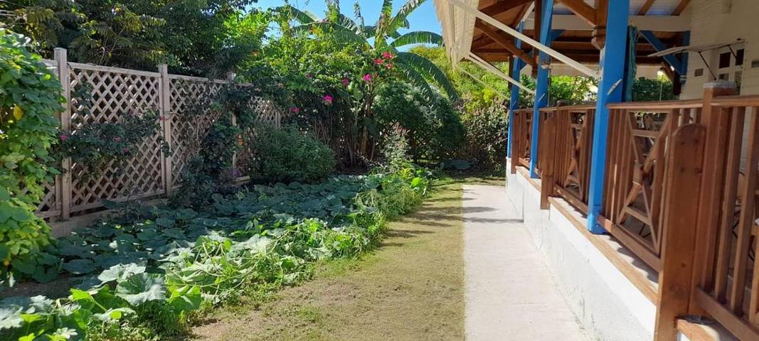 Gîte pour 2 personnes, avec jardin et vue à La Désirade (île) - 4