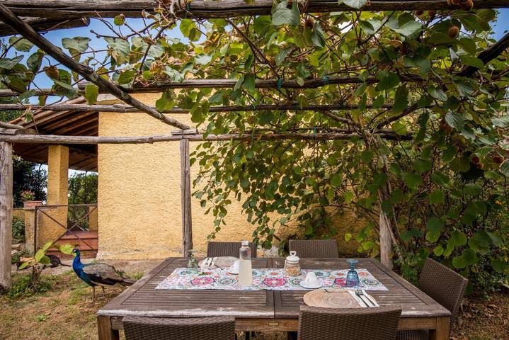 Geheel appartement, Vakantie Appartement 'Glicine' met Uitzicht op de Bergen, Gedeeld Zwembad & Wi-Fi in Montieri, Provincie Grosseto