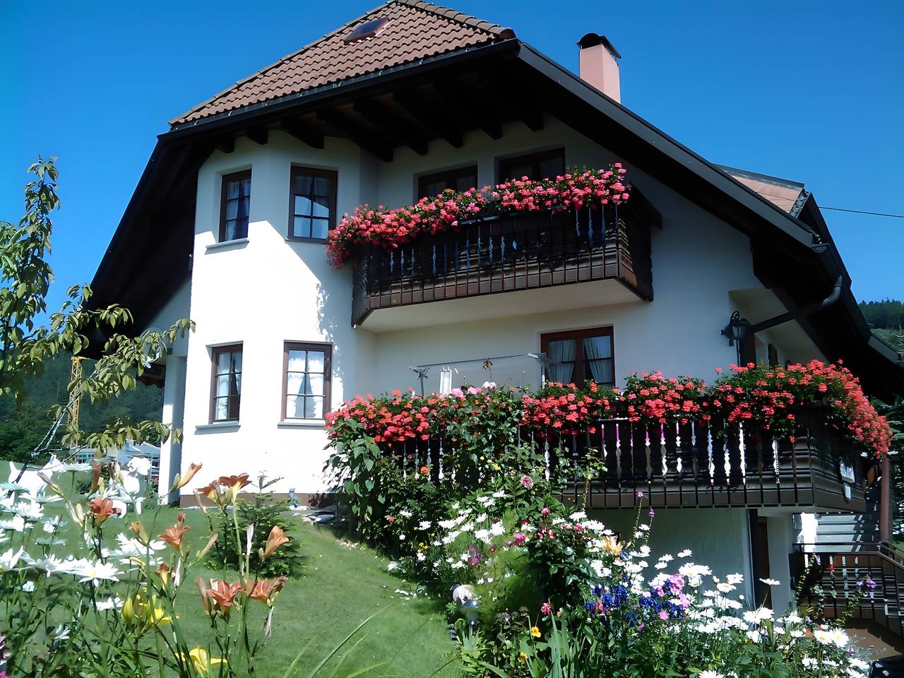 Ganze Wohnung, Ferienwohnung 'Schupp' mit Bergblick, Freisitz und Wi-Fi in Dachsberg, Südschwarzwald