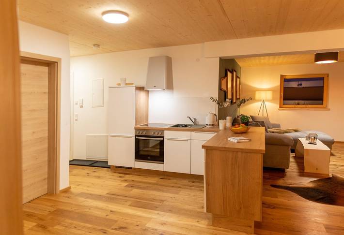 Ganze Ferienwohnung, Ferienwohnung 2, 1 Schlafraum, Dusche/Wc in Mittelberg, Kleinwalsertal