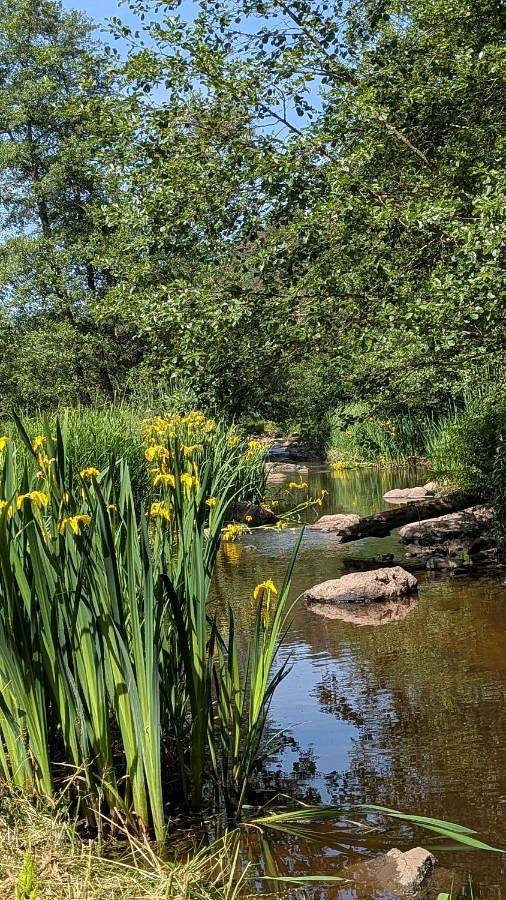 Suite privée Esther Gorges de l'Arzon près du Puy en Velay in Chomelix, Parc Naturel Régional Livradois-Forez