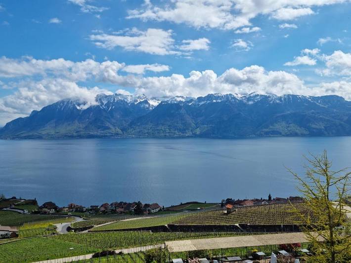 Gîte pour 4 personnes, avec vue ainsi que terrasse et vue sur le lac à Chexbres