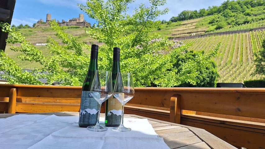 Ferienwohnung für 4 Personen, mit Garten und Balkon, kinderfreundlich in Alken