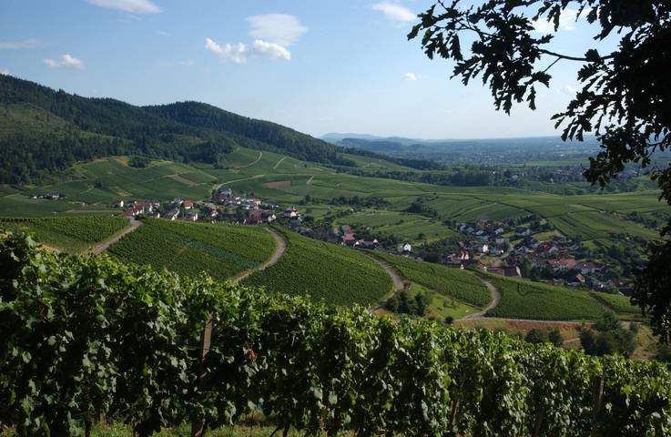 Hotel Heiligenstein - Standard single room, 18 sqm, max. 1 person in Baden-Baden, Northern Black Forest