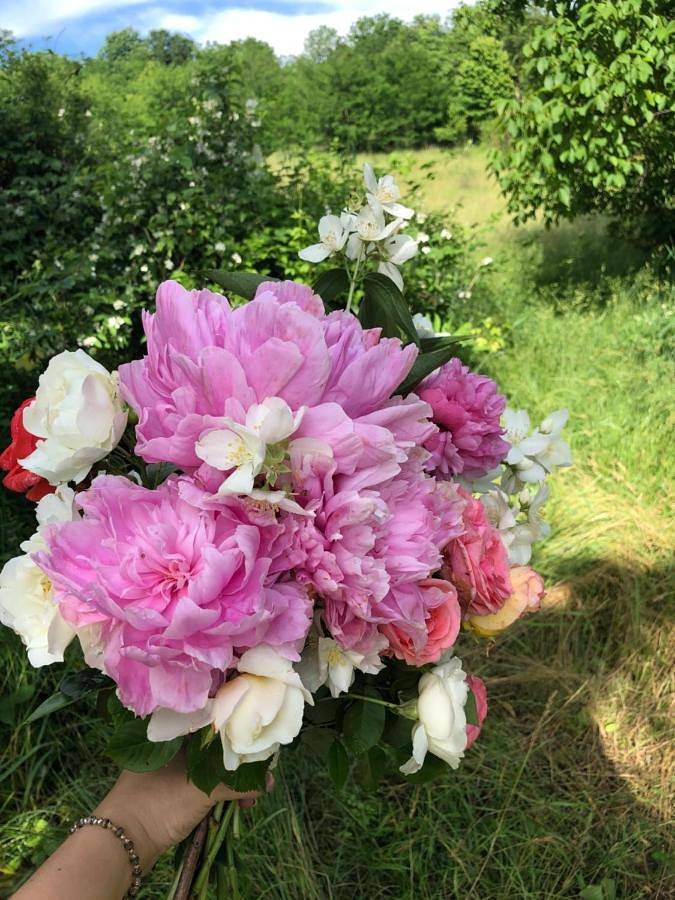 Gîte pour 3 personnes, avec vue ainsi que balcon et jardin dans Câmpina - 2