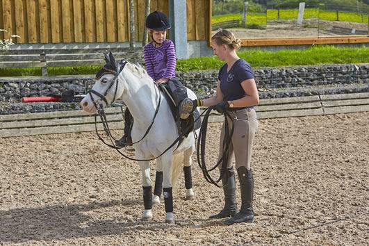Bauernhof für 4 Personen, mit Pool und Garten, mit Haustier in Baden-Württemberg - 3
