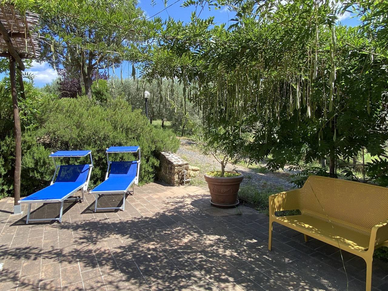 Appartamento intero, Levante in Bibbona, Costa degli Etruschi