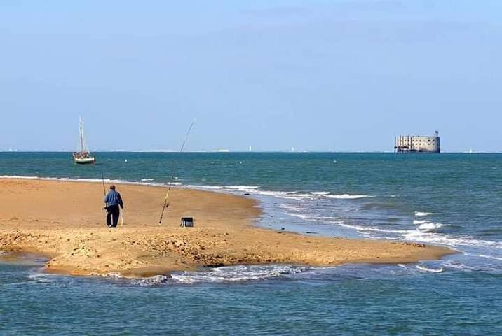 Location de vacances pour 6 personnes, avec jardin, animaux acceptés dans Office De Tourisme De La Tremblade