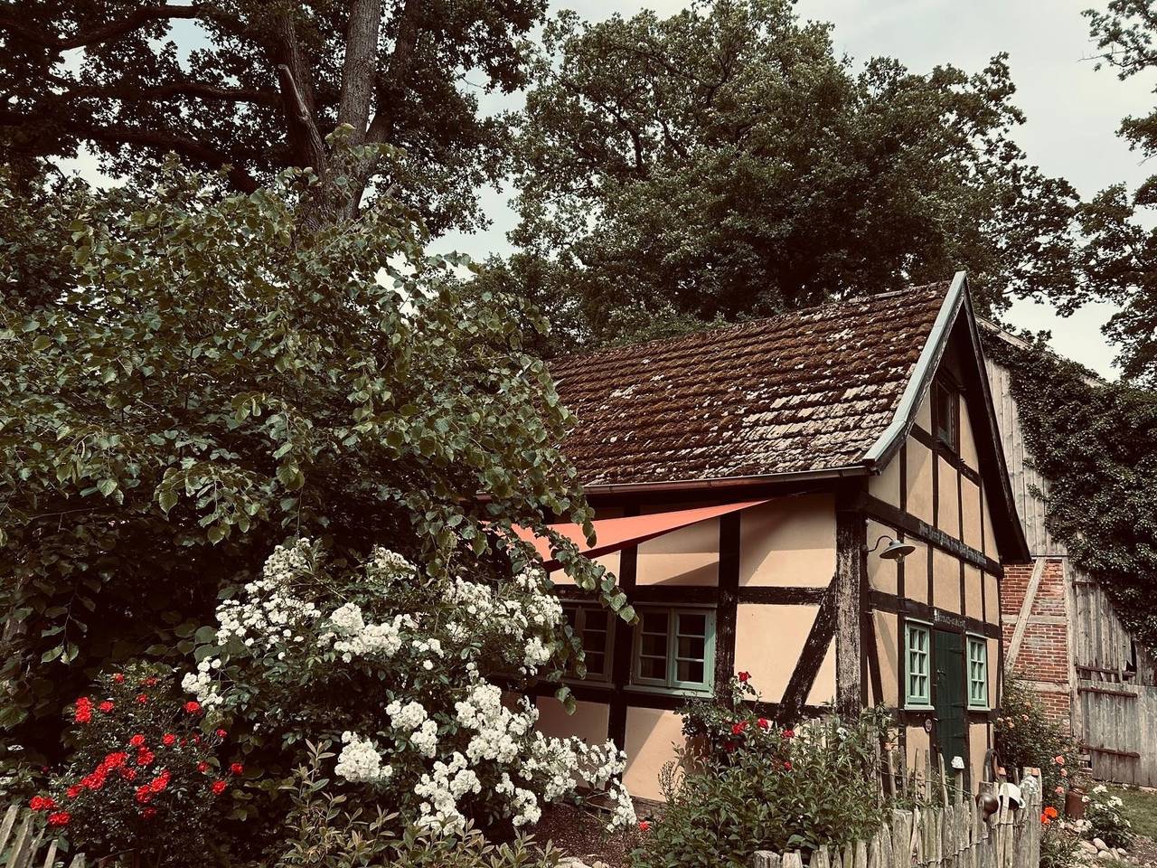 Auszeit vom Alltag in urigem Ferienhaus in idyllischer Natur im Dümmer-Weserland, Sauna & Kraniche in Landkreis Diepholz