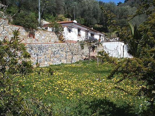 Charmantes Ferienhaus Casa Uliveto mit Terrasse und Garten in Diano San Pietro, Riviera di Ponente