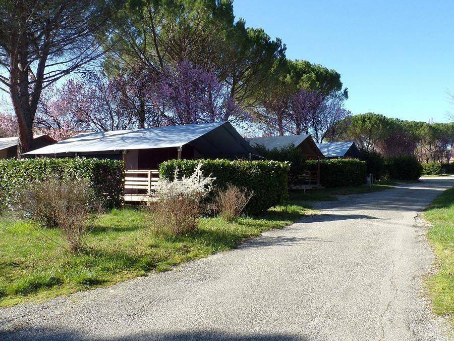 Flower Camping Provence Vallée - Tienda 5 personas - Flor Libre sin instalaciones sanitarias ni suministro de agua in Manosque, Parque natural regional del Luberon
