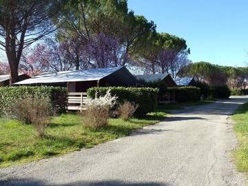 Camping voor 5 Personen in Manosque, Forcalquier en omgeving, Afbeelding 1