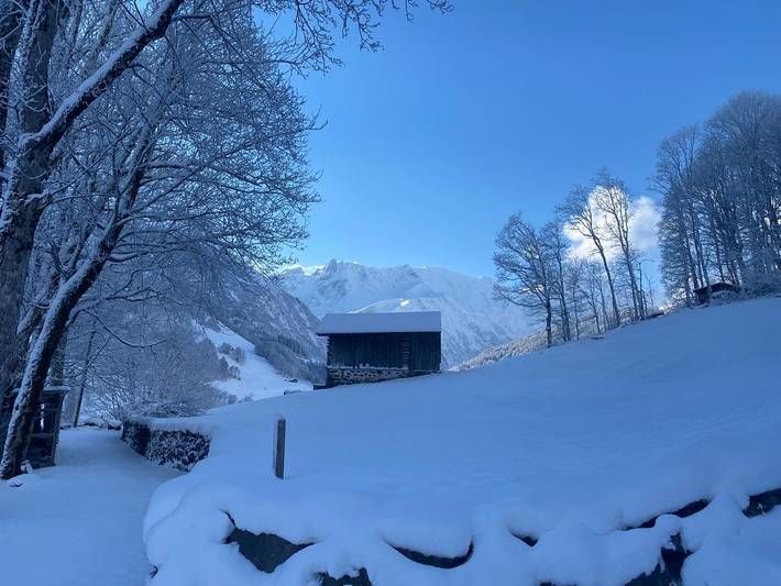 Ganze Ferienwohnung, Ferienchalet obere Chappelen 1 in Elm GL, Glarus Süd