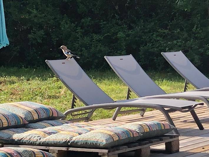 Location de vacances pour 6 personnes, avec piscine et jardin à Prayssac - 4