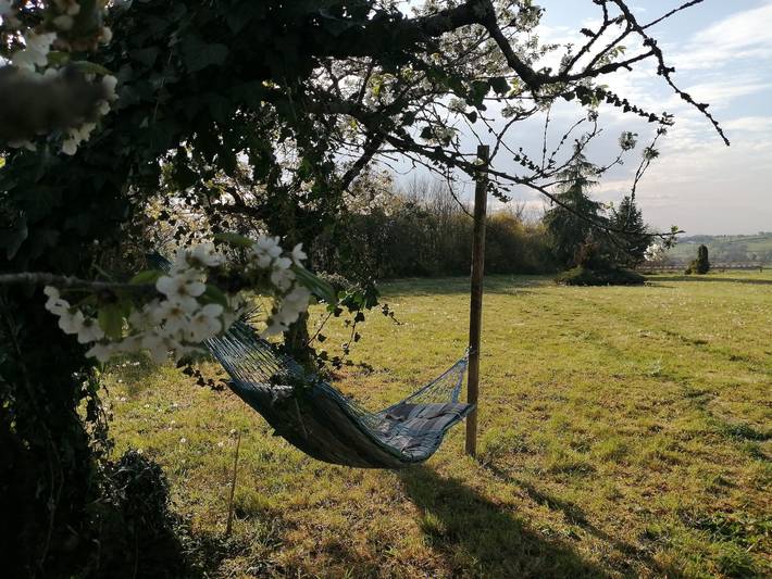Gîte pour 8 personnes, avec piscine, animaux acceptés dans Saint-Amand-Montrond - 2