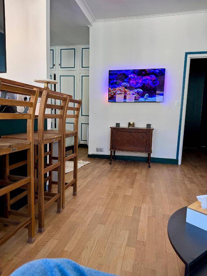 Appartement entier, Studio Apartment in Selles-sur-Cher, Région de Romorantin-Lanthenay