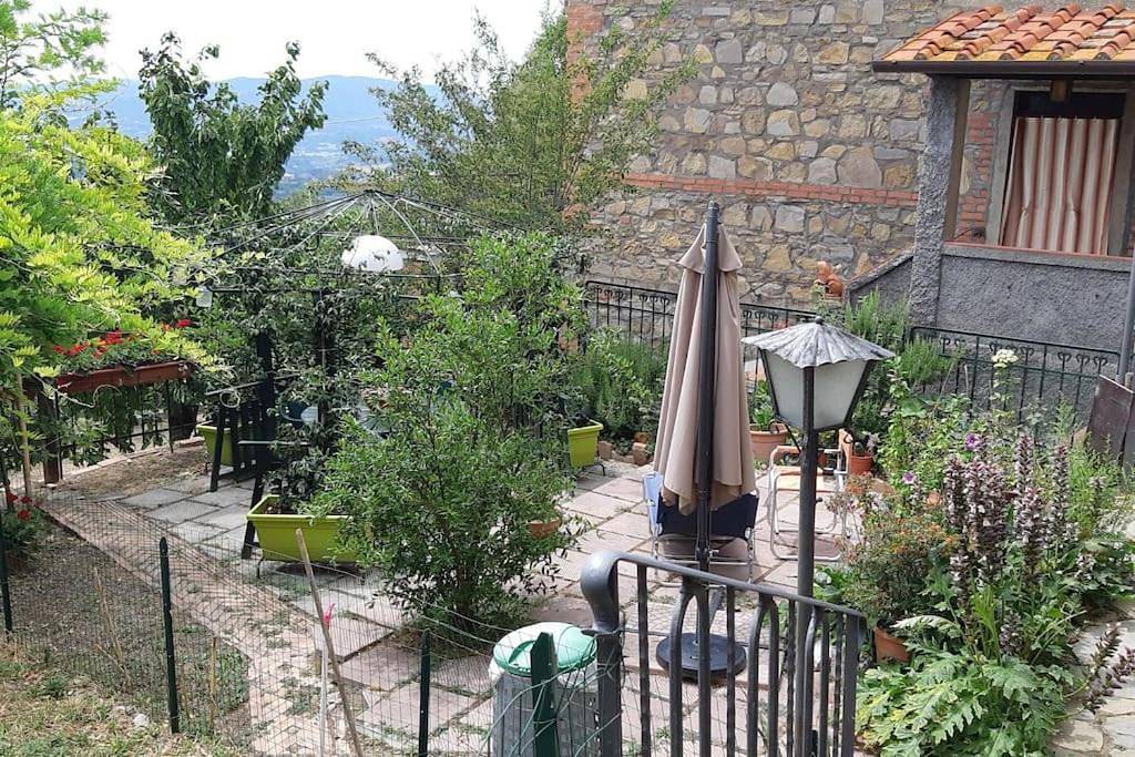 Ganze Wohnung, La Casa di Nina Wohnung in Collina in Castelfranco di sopra, Castelfranco Piandiscò (gemeinde)