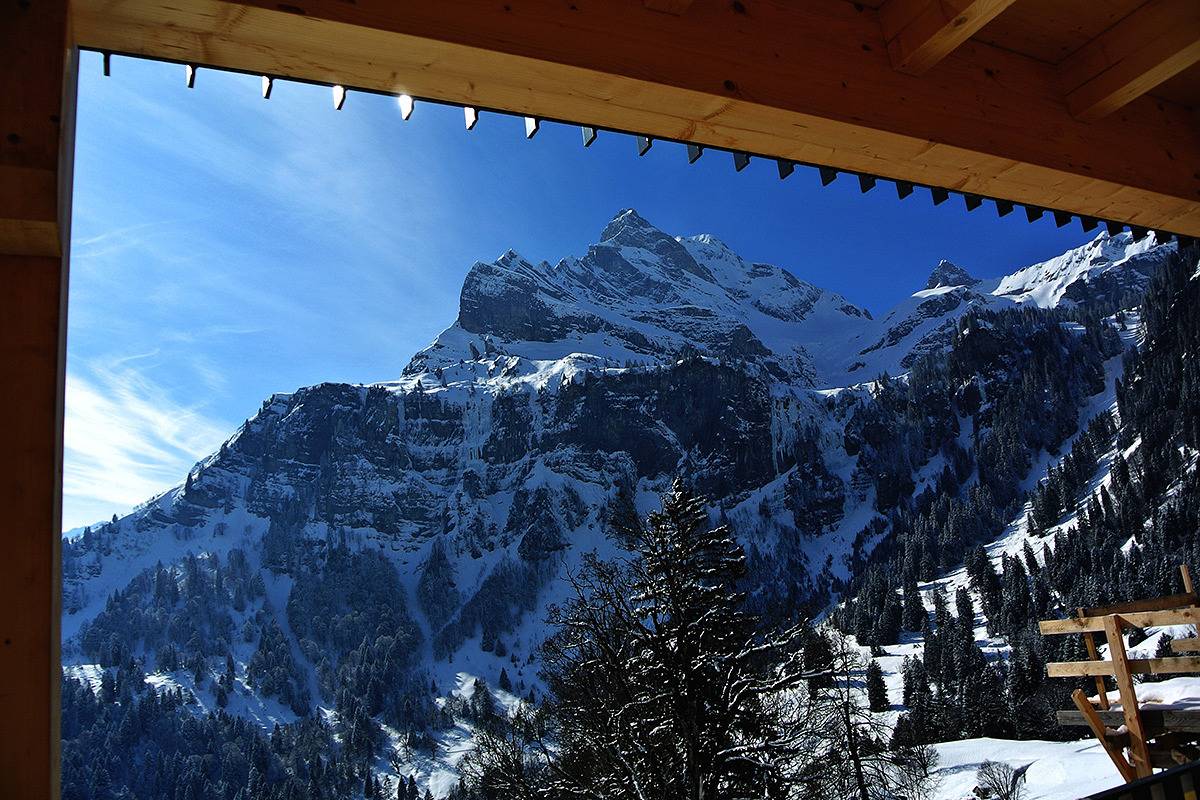 Ganze Ferienwohnung, Bauernhaus Burstberg Nr. 182 - 1.5-Zimmer Wohnung in Glarus Süd, Kanton Glarus