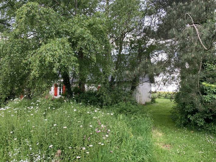 Gîte pour 2 personnes, avec terrasse et jardin, animaux acceptés à Vattetot-sur-Mer - 3