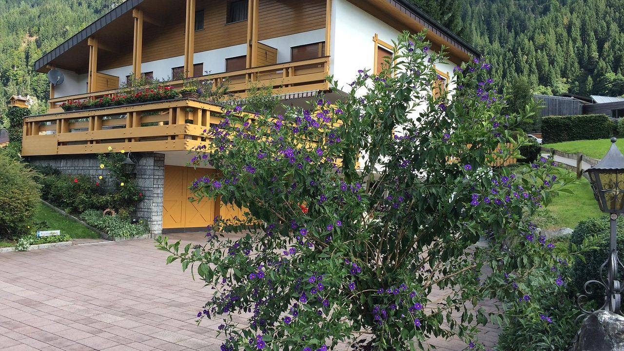 Ganze Ferienwohnung, Ferienwohnung für 4 Personen (50 m²) in Gortipohl in Sankt Gallenkirch, Verwall