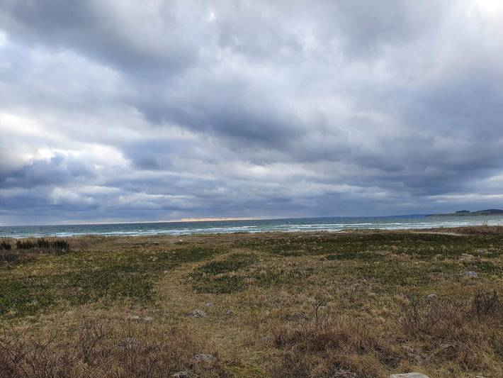 Ferienhaus für 14 Personen, mit Sauna und Whirlpool sowie Pool und Terrasse, mit Haustier in Lyngsbæk Strand - 4