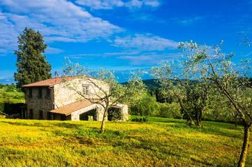 Agriturismo per 6 Persone in Capannori, Provincia di Lucca, Foto 1