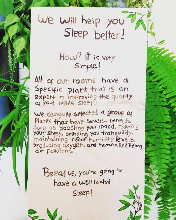 Chambre d’hôte pour 6 personnes, avec terrasse et jardin, animaux acceptés à Costa da Caparica - 3