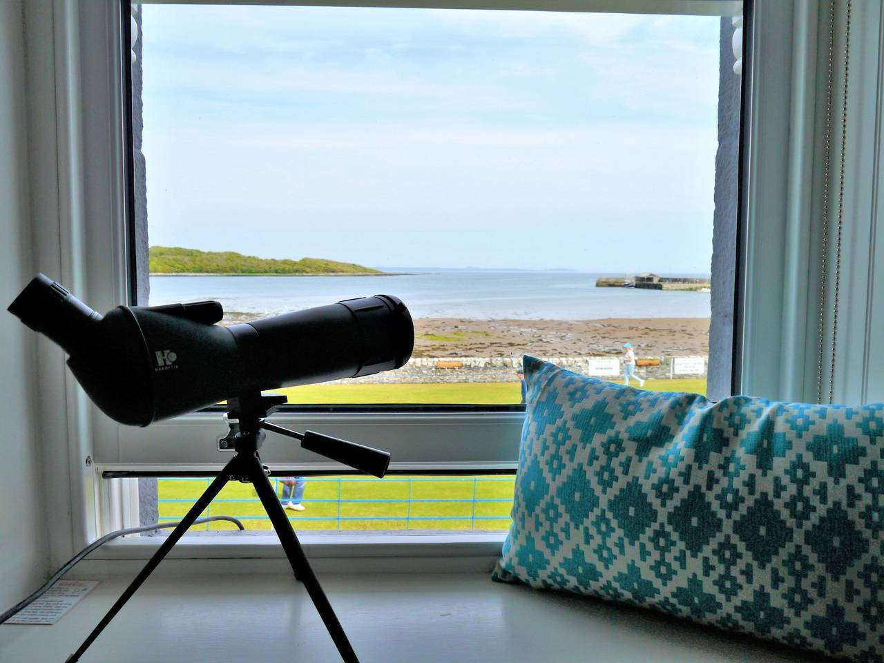 The View in Dumfries and Galloway