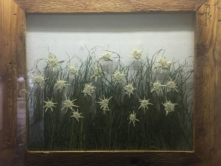 Ferienwohnung für 2 Personen, mit Garten und Balkon in Heiligenblut - 4