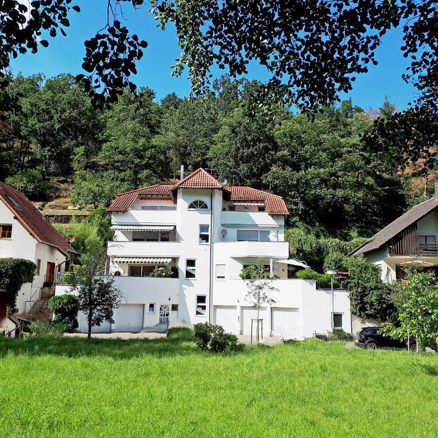 Ganze Wohnung, Three-Bedroom Apartment in Wachenheim, Pfälzer Rheinebene
