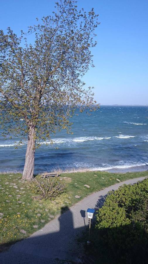Ganze Wohnung, Strandappartement Steinberghaff "zur Birk" mit Meerblick in Steinberghaff, Steinberg