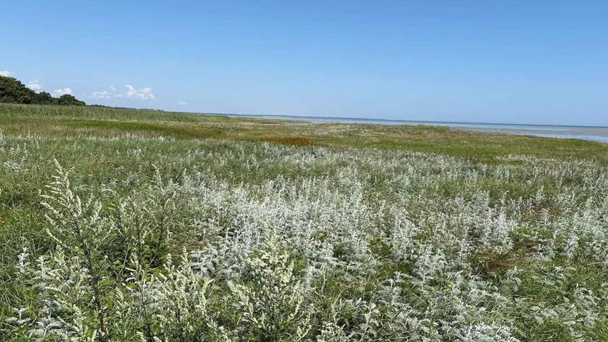 Ferienhaus für 11 Personen, mit Whirlpool und Terrasse, mit Haustier in St. Sjørup - 3