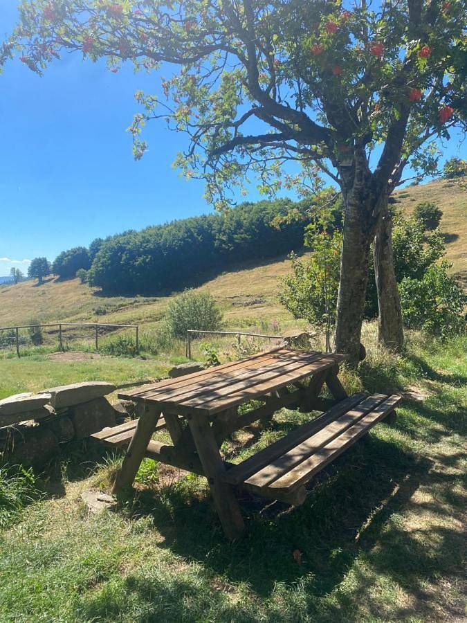 Chambre d’hôte pour 2 personnes, avec Terrasse et Jardin dans Parc naturel régional des Monts d'Ardèche - 2