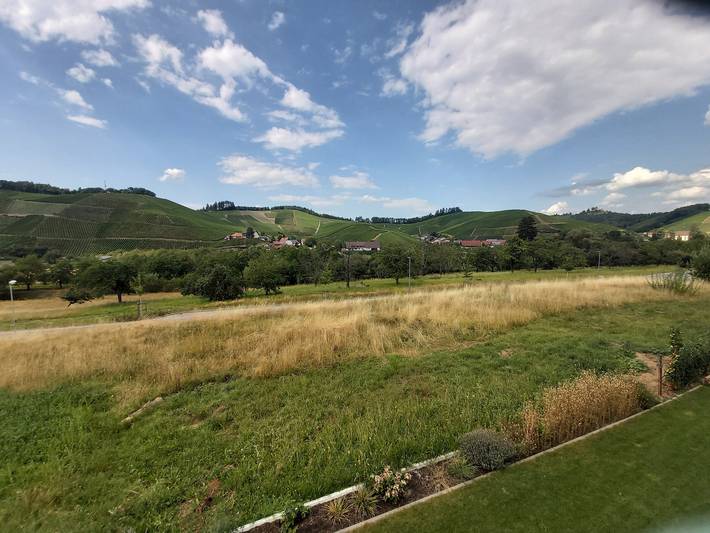 Ganze Ferienwohnung, Wein & Heim - Ferienwohnung mit Garten, 68qm, 1 Schlafzimmer, max. 2 Personen in Durbach, Mittlerer Schwarzwald