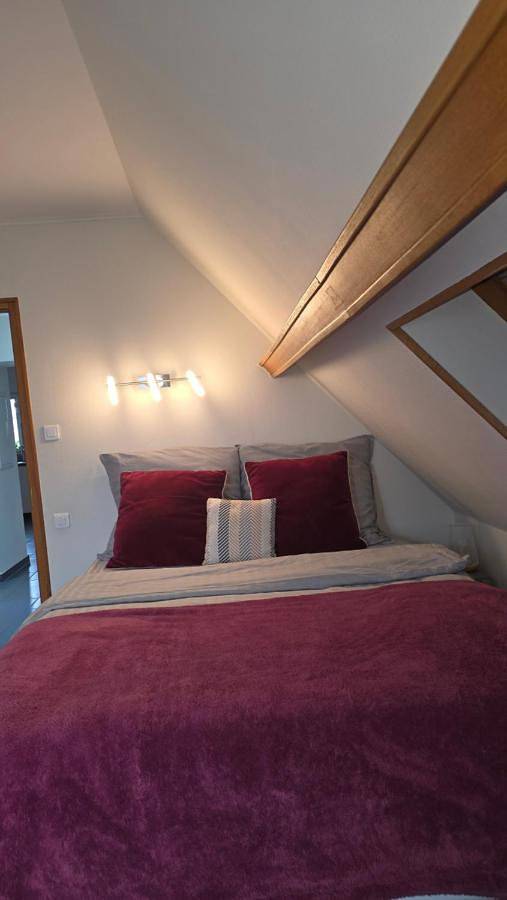 Gîte pour 4 personnes, avec vue et terrasse, animaux acceptés à Bennwihr - 3