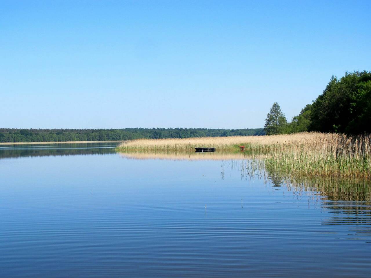 Userin 609 - Wald und See 609.4 in Userin, Mecklenburg-Strelitz