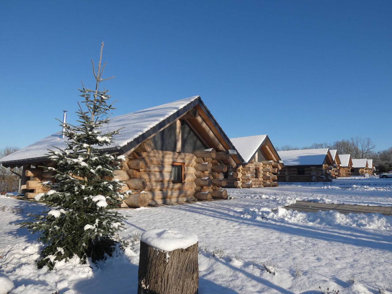 Feriendorf Tollensesee - Log Cabins - Naturstammhaus Mv Seenplatte 20 in Tollensesee, Groß Nemerow