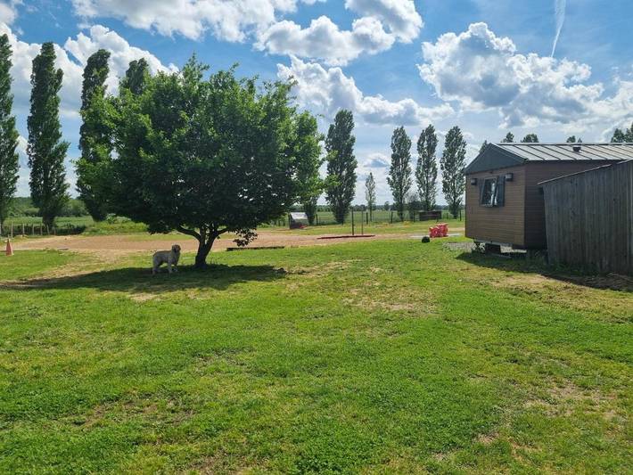 Gîte pour 6 personnes, avec jardin, animaux acceptés à Longué-Jumelles - 3
