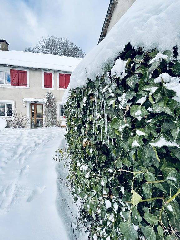 Gîte pour 26 personnes, avec jardin et terrasse, animaux acceptés dans le Gard - 3