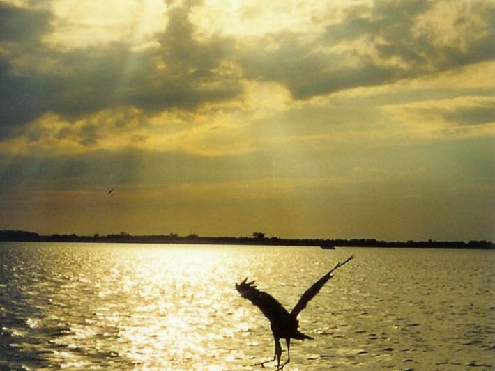 Ferienhaus für 4 Personen, mit Garten und Terrasse, mit Haustier in Benz - 4