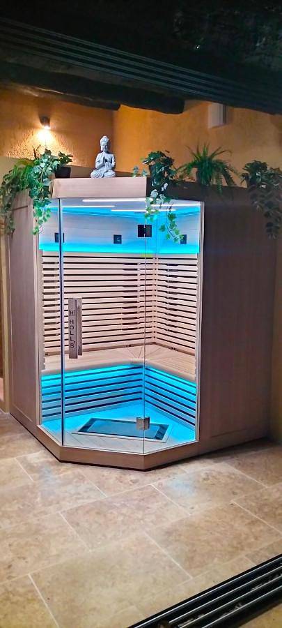 Location de vacances pour 6 personnes, avec piscine et jardin ainsi que sauna et vue, animaux acceptés à Mollégès - 3