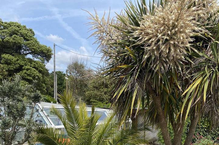 Location de vacances pour 14 personnes, avec jacuzzi et jardin, animaux acceptés dans Le Rocher