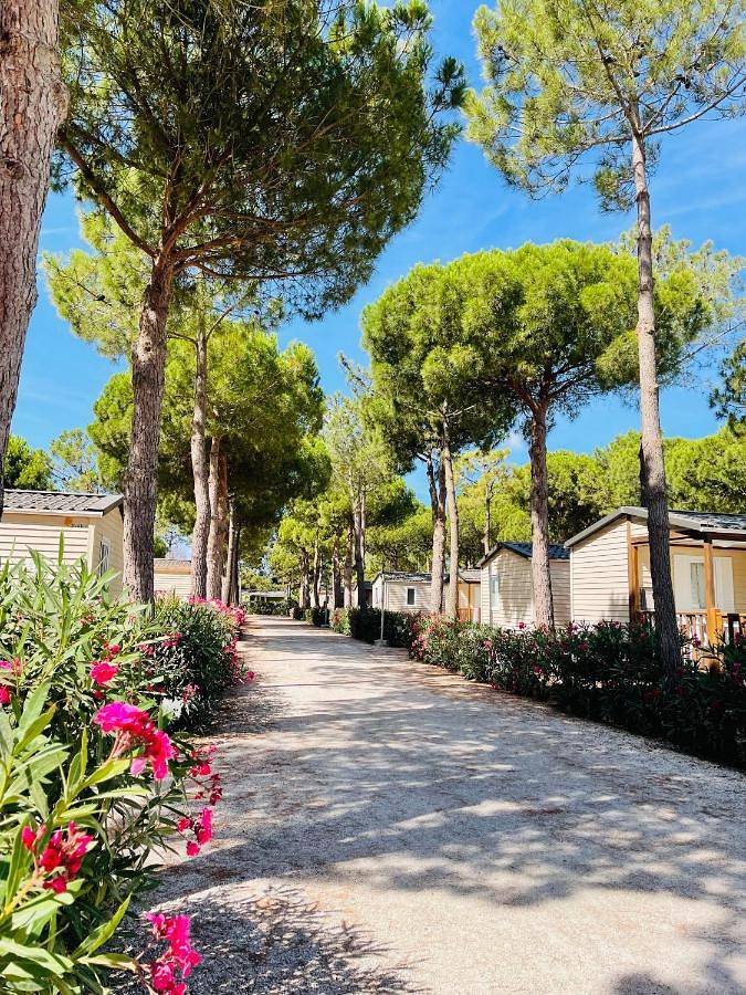 Camping pour 6 personnes, avec bassin pour enfant et jacuzzi ainsi que piscine et jardin à Torreilles - 2