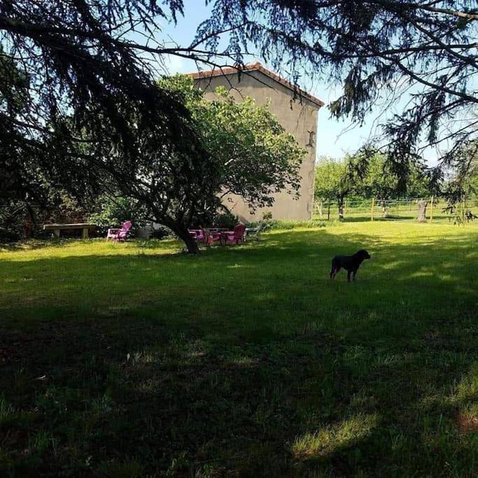 Four-Bedroom House in Saint-Julien-de-Coppel, Parc Naturel Régional Livradois-Forez