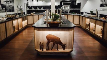 Ferienhaus für 2 Personen in Walsrode, Landkreis Heidekreis, Bild 4