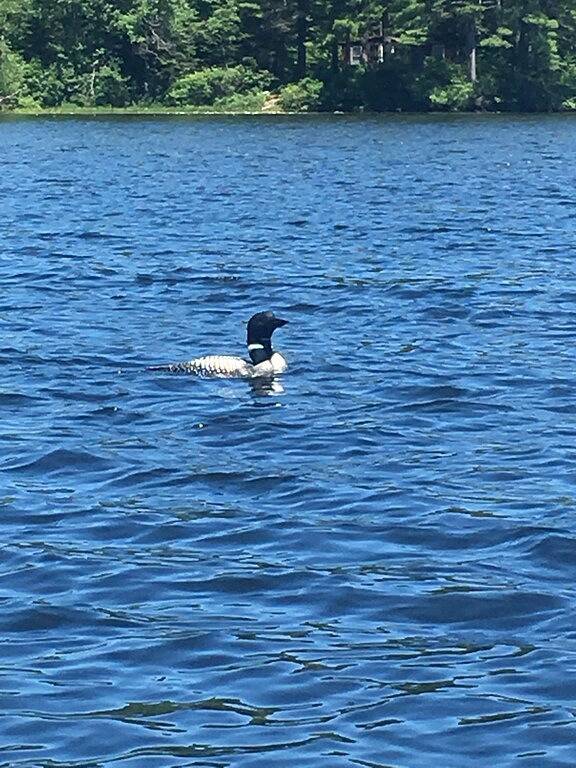 Charming Waterfront Home - 17 Meilen nach Dartmouth in Enfield, Grafton County