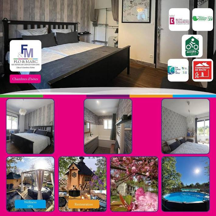 Gîte pour 2 personnes, avec jardin et sauna ainsi que jacuzzi et piscine, adapté aux familles à Chouzy-sur-Cisse